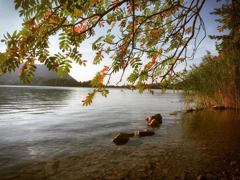 Apartmenthaus Der Johanneshof - Tolle Lage Nah Am See Schliersee Zewnętrze zdjęcie